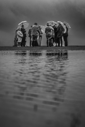 Stacks Image 81865