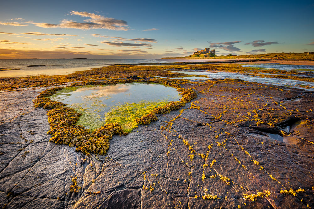 Bamburgh Castle on a summer morning with rockpools